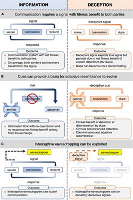 The Evolution of Predator Resemblance in Avian Brood Parasites